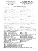 Đề KIỂM TRA CUỐI KÌ HỌC KÌ I Có đáp án NK 2021 2022 Môn Địa lý 12 Trường THPT Gia Định Cơ bản