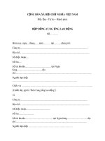 Mẫu Hợp đồng cung ứng nhân lực