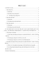 Vận dụng lý luận về hàng hóa sức lao động của C.Mac trong xây dựng chính sách tiền lương của Việt Nam hiện nay