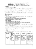 GIÁO ÁN CHỦ ĐỀ THẾ GIỐI ĐỘNG VẬT MẪU GIÁO 34 TUỔI