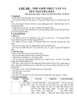 GIÁO ÁN CHỦ ĐỀ THẾ GIỚI THỰC VẬT MẪU GIÁO 34 TUỔI