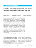 Giải pháp nâng cao chất lượng kiểm toán báo cáo tài chính các ngân hàng thương mại Việt Nam
