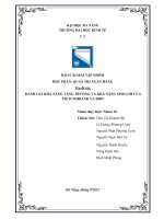 ĐÁNH GIÁ KHẢ NĂNG TĂNG TRƯỞNG VÀ KHẢ NĂNG SINH LỜI CỦA VIETCOMBANK VÀ BIDV