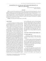 Ảnh hưởng của các loại giá thể từ phụ phế phẩm hữu cơ trên cây carot baby