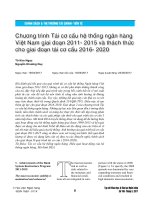 Banking System Restructure Program 2011-2015 and ongoing challenges for the Stage 2 of the Restructure Scheme 2016-2020