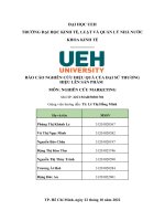 BÁO CÁO NGHIÊN CỨU HIỆU QUẢ CỦA ĐẠI SỨ THƯƠNG HIỆU LÊN SẢN PHẨM MÔN NGHIÊN CỨU MARKETING