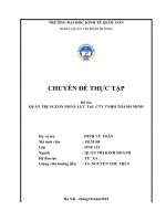 thực trạng công tác quản trị nhân lực tại công ty TNHH thành minh