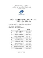 PHÂN Tích Báo Cáo Tài Chính Của CTCP VICEM – Bao Bì Bút Sơn