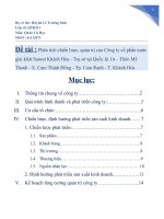 Phân tích chiến lược, quản trị của Công ty cổ phần nước giải khát Sanest Khánh Hòa - Trụ sở tại Quốc lộ 1A - Thôn Mỹ Thanh - X. Cam Thịnh Đông - Tp. Cam Ranh - T. Khánh Hòa