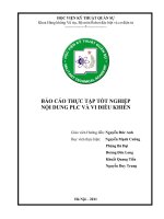 BÁO CÁO THỰC TẬP TỐT NGHIỆP NỘI DUNG PLC VÀ VI ĐIỀU KHIỂN
