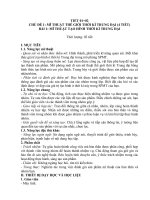 Giáo án Mỹ thuật 7 Kết nối tri thức.docx