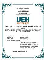 TIỂU LUẬN đề tài NGHIÊN cứu dự báo NGUY cơ đột QUỴ của cơ THỂ CON NGƯỜI 