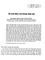 Về mại dâm ở an giang hiện nay 