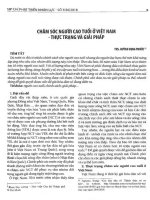 Chăm sóc người cao tuổi ở Việt Nam - thực trạng và giải pháp.pdf