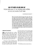 Các tổ chức xã hội dân sự trong nền kinh tế thị trường định hướng xã hội chủ nghĩa 