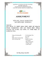 XÂY DỰNG và TRIỂN KHAI THỰC HIỆN kế HOẠCH EMAIL MARKETING CHO sản PHẨM điện THOẠI GALAXY s22 ULTRA tại CÔNG TY TNHH điện tử SAMSUNG VINA 