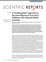 a building block approach to the new influenza a virus entry inhibitors with reduced cellular toxicities 