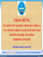 Văn hóa ứng xử và giao tiếp của sinh viên trong môi trường giáo dục đại học, trách nhiệm của sinh vien với cộng đồng xã hội