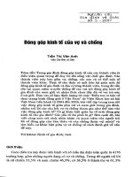 Đóng góp kinh tế của vợ và chồng 