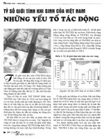 Tỷ số giới tính khi sinh ở việt nam những yếu tố tác động 