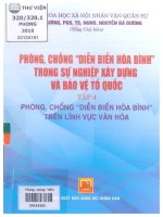 Phòng, chống diễn biến hòa bình trong sự nghiệp xây dựng và bảo vệ tổ quốc  sách chuyên khảo  tập 4, phòng, chống diễn biến hòa bình trên lĩnh vực văn hóa 