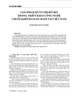 Giải pháp quản trị rủi ro trong triển khai công nghệ chuỗi khối blockchain tại việt nam 