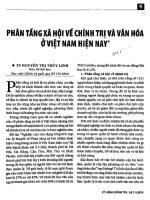 Phân tầng xã hội về chính trị và văn hóa ở Việt Nam hiện na.pdf