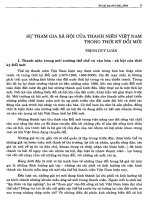 Sự tham gia xã hội của thanh niên việt nam trong thời kỳ đổi mới 