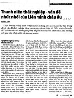 Thanh niên thất nghiệp-vấn đề nhức nhối của Liên minh Châu Âu.pdf