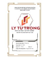 BÁO cáo THỰC tập CHUYÊN NGÀNH NGÔN NGỮ ANH INTERNSHIP REPORT in van an phat real estate joint stock company 