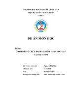 Mô hình tổ chức bộ máy kiểm toán độc lập tại Việt Nam