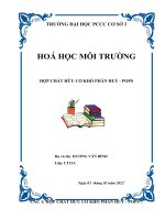 HOÁ HỌC MÔI TRƯỜNG HỢP CHẤT HỮU CƠ KHÓ PHÂN HUỶ - POPS