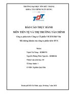 BÁO cáo THỰC HÀNH môn TIỀN tệ và THỊ TRƯỜNG tài CHÍNH công ty phân tích công ty cổ phần VICEM hải vân 