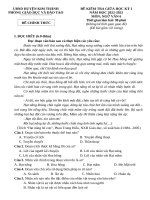 Văn 6  đề KTGKI 22 23 