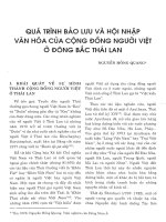 Quá trình bảo lưu và hội nhập văn hoá của cộng đồng người việt ở đông bắc thái lan 