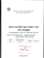 Báo cáo kết quả thực tập tốt nghiệp Công ty TNHH ABS Việt Mỹ 3.pdf