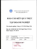Báo cáo kết quả thực tập doanh nghiệp Công ty cổ phần xuất nhập khẫu hàng Việt.pdf