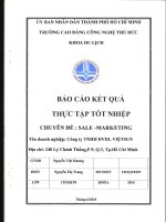 Báo cáo thực tập Sale - Marketing Cty thương mai VIETSUN.pdf