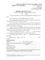 MẪU HỢP ĐỒNG THẾ CHẤP TÀI SẢN (Tài sản thế chấp là nhà ở xã hội hình thành từ vốn vay)