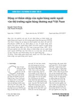 Động cơ thâm nhập của ngân hàng nước ngoài vào thị trường ngân hàng thương mại Việt Nam