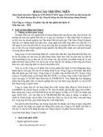 Microsoft Word - GSP_Bao cao thuong nien nam 2010.doc