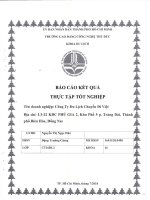 Báo cáo thực tập tốt nghiệp Cty du lich Chuyến Đi Việt.pdf