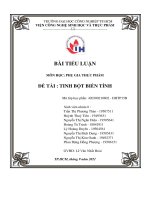 BÀI TIỂU LUẬN MÔN HỌC PHỤ GIA THỰC PHẨ M ĐỀ TÀI TINH BỘ T BIẾN TÍNH