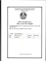 Báo cáo kết quả thực tập tốt nghiệp Công ty TNHH thương mại du lịch lữ hành Trường Hải.pdf