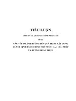 Tiểu luận môn lý LUẬN HÀNH CHÍNH NHÀ nước   các yếu tố ẢNH HƯỞNG đến QUÁ TRÌNH xây DỰNG QUYẾT ĐỊNH HÀNH CHÍNH NHÀ nước