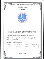 Báo cáo kết quả thực tập Thương mại dịch vụ Trường Hải.pdf