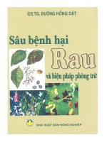 Biện pháp phòng trừ sâu bệnh hại rau: Phần 1