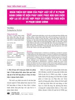 Hoàn thiện quy định của pháp luật xử lý vi phạm hành chính về biện pháp khắc phục hậu quả buộc nộp lại số lợi bất hợp pháp có được do thực hiện vi phạm hành chính