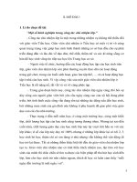 Sáng kiến kinh nghiệm một số kinh nghiệm trong công tác chủ nhiệm lớp