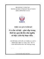 Cơ cấu xã hội – giai cấp trong thời kỳ quá độ lên chủ nghĩa xã hội. Liên hệ thực tiễn